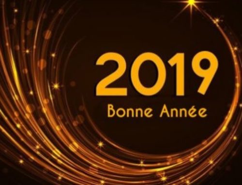 Bonne année 2019