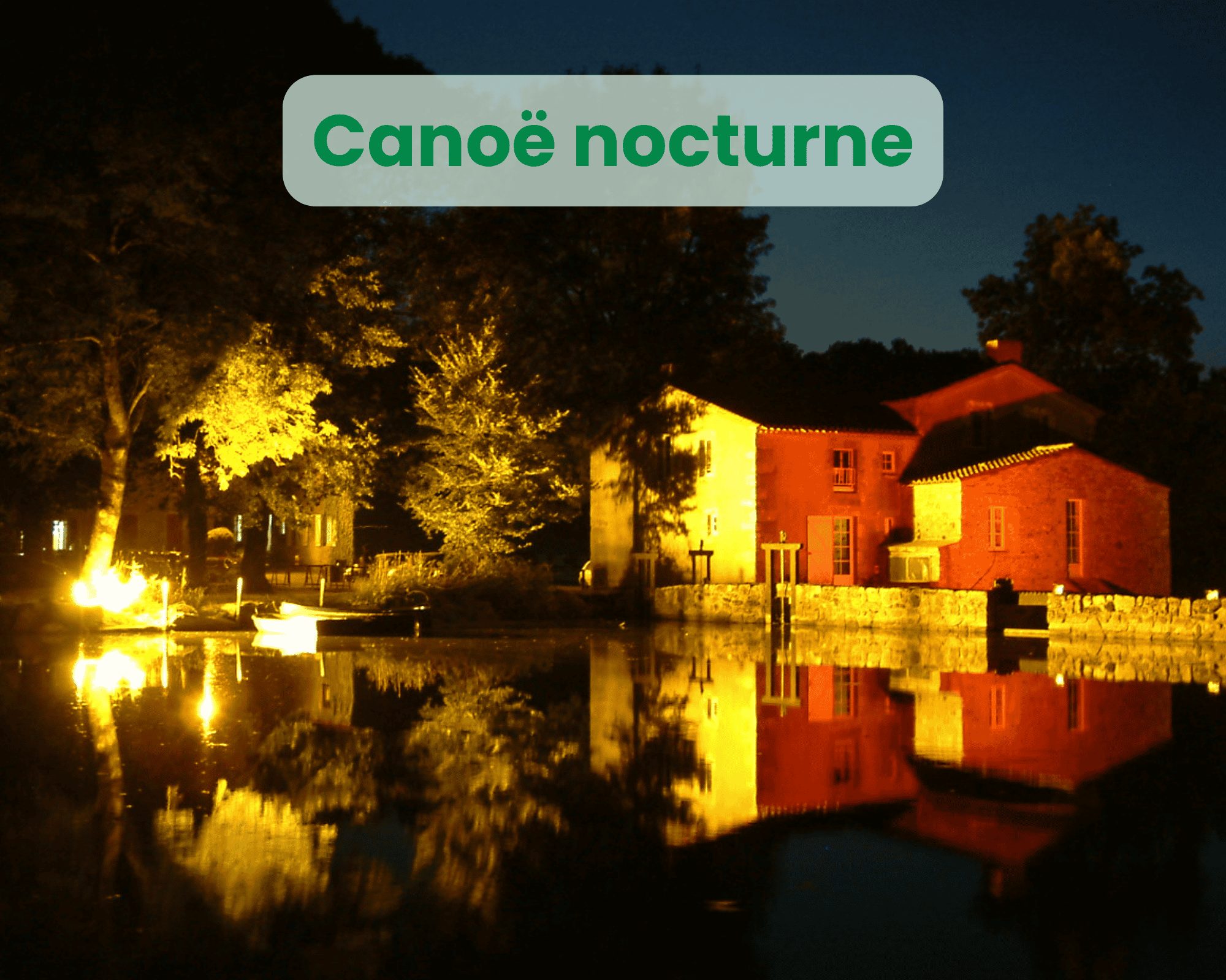 ck nocturne
